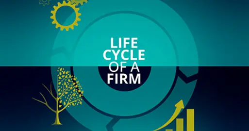 FIN 711: The Lifecycle of a Firm